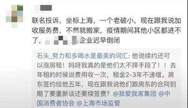 新闻眼爆料,揭秘事件背后惊人真相  第3张